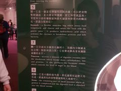 -香港科学馆