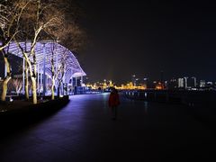 -功德林(南京西路店)