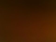 -巴依老爷新疆餐厅