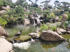 -罗红摄影艺术馆