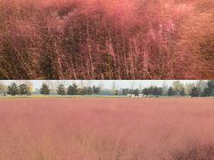 -汉长安城未央宫国家考古遗址公园