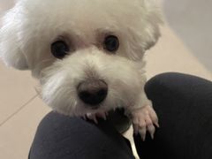 -哈尼爱宠·宠物生活会馆