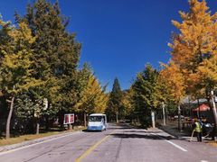 -洛阳白云山景区