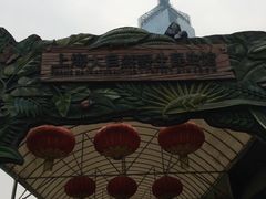 -上海大自然野生昆虫馆