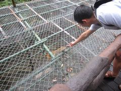 -海南槟榔谷黎苗文化旅游区