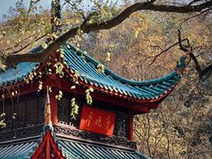 -岳麓山风景名胜区