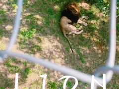 -石家庄市动物园