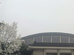 -秦始皇帝陵博物院(兵马俑)