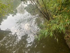 -水绘园