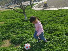 -南京市无想山景区