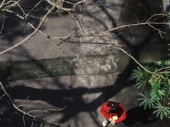 -浙江大学(玉泉校区)