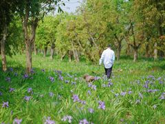 -白鹭湾湿地公园