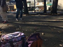 -三鹰之森吉卜力美术馆