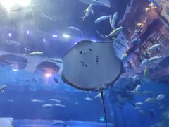 -华夏文旅海洋公园