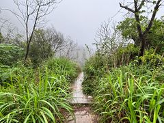 -大罗山风景区