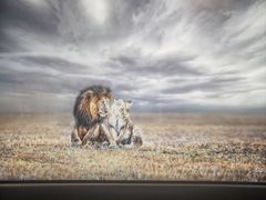 -罗红摄影艺术馆