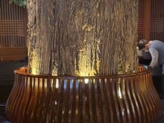 -八府香鸭·啫啫煲(华山路店)