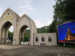 -上海佘山国家森林公园东门地面停车场