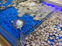 -万象·复兴号鲜肉烤肉海鲜自助(升级店)