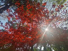 -汇龙潭