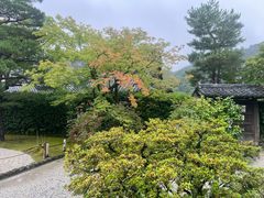-天龙寺