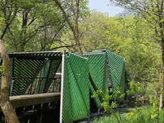 -西湖风景区-江洋畈生态公园