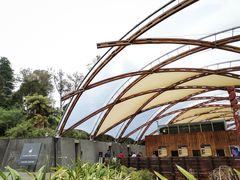 门面-怀托摩萤火虫洞