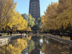 -玲珑塔公园