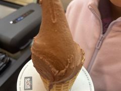 -野人先生现做冰淇淋(北京环宇荟店)