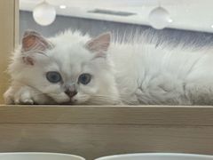 -宁波鄞州万达广场
