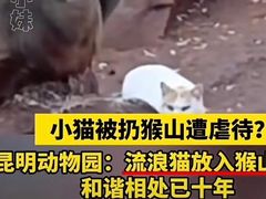 -昆明动物园