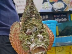 -有腥气私房菜·寻味顺德