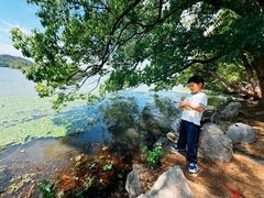 -东湖落雁景区