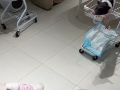 -怪兽屋·羊驼·猫咖·狗咖(俊华广场店)