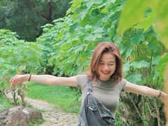 -广州市石门国家森林公园
