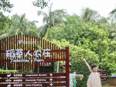 -三亚亚龙湾红树林度假酒店