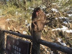 -峨嵋山金顶