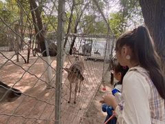 -大鹅岛绿色生态美食园