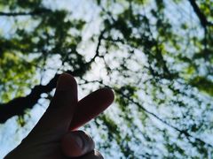 -常德桃花源景区