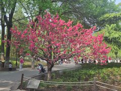 -丰台花园
