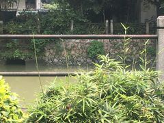 -晓港公园