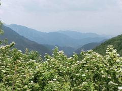 -灵山