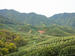 -午潮山国家森林公园