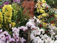 -北京植物园-展览温室
