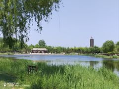 -西海子公园