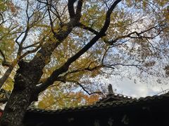 -白帝城·瞿塘峡景区