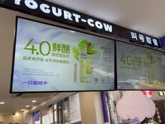 -一只酸奶牛(洪崖洞11楼店)