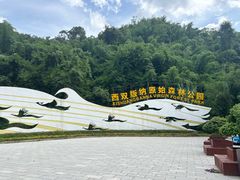 -西双版纳原始森林公园