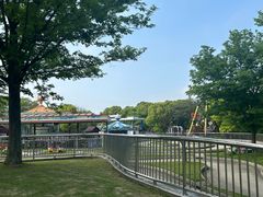 -上海吴淞炮台湾国家湿地公园