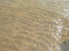 -日照海滨国家森林公园